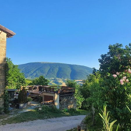 Le Ginestre Guesthouse Assisi Dış mekan fotoğraf