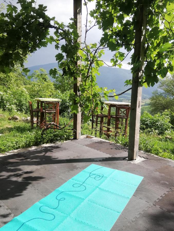 Le Ginestre Guesthouse Assisi Dış mekan fotoğraf