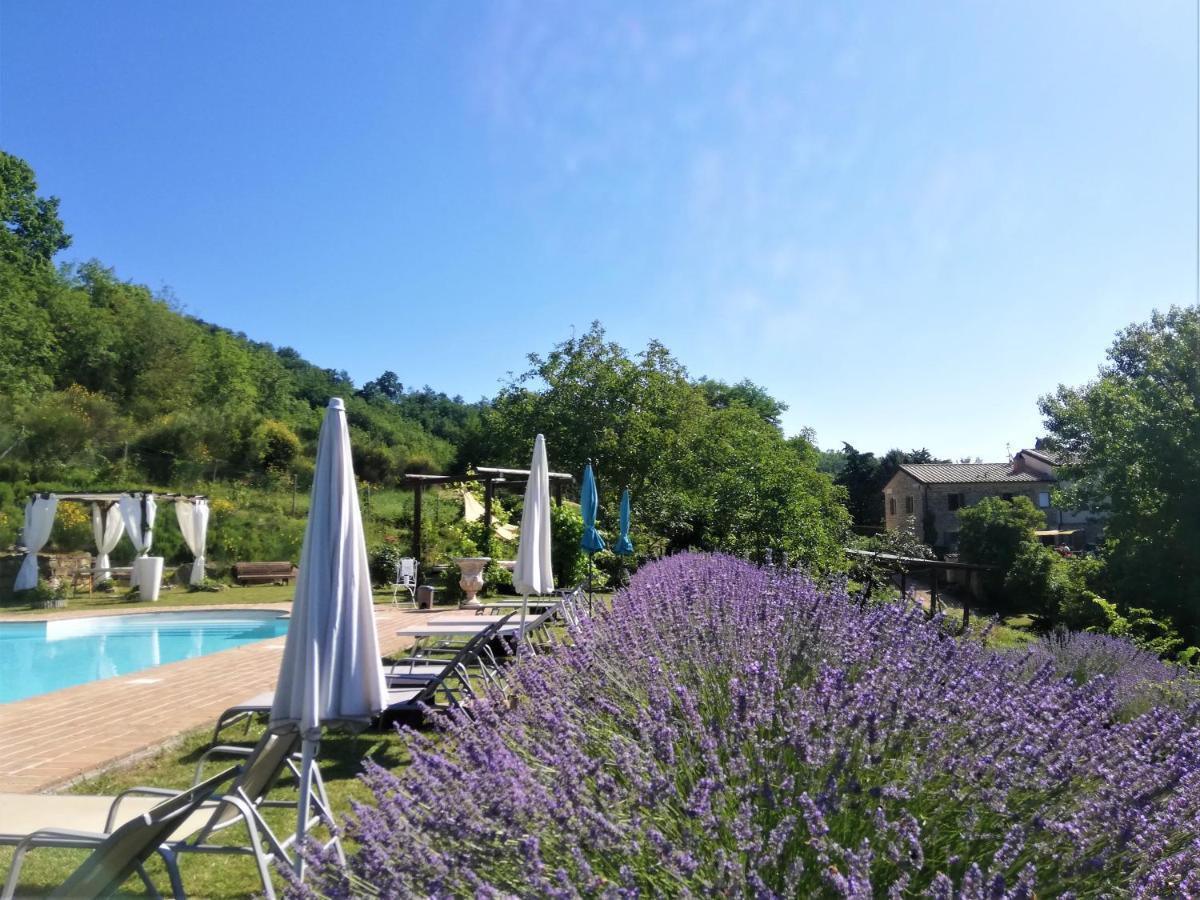 Le Ginestre Guesthouse Assisi Dış mekan fotoğraf