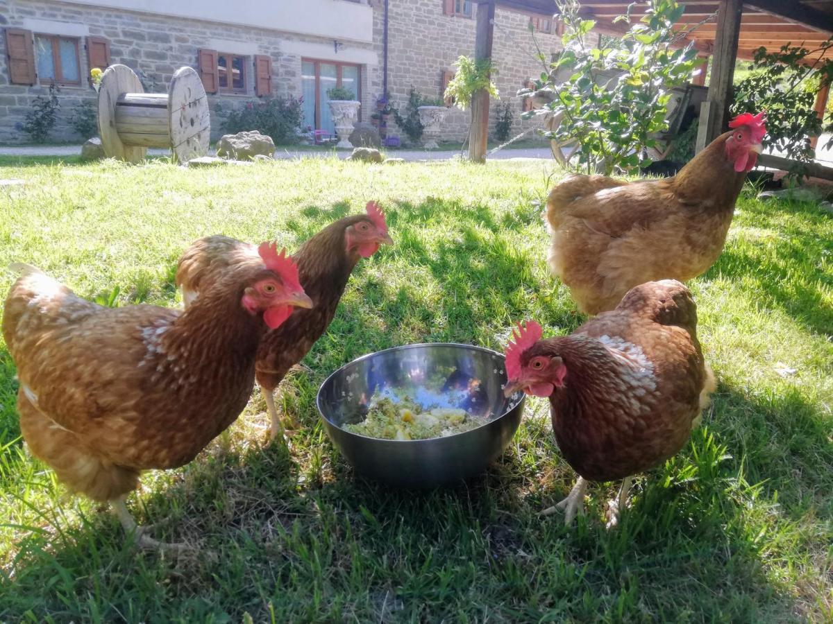 Le Ginestre Guesthouse Assisi Dış mekan fotoğraf