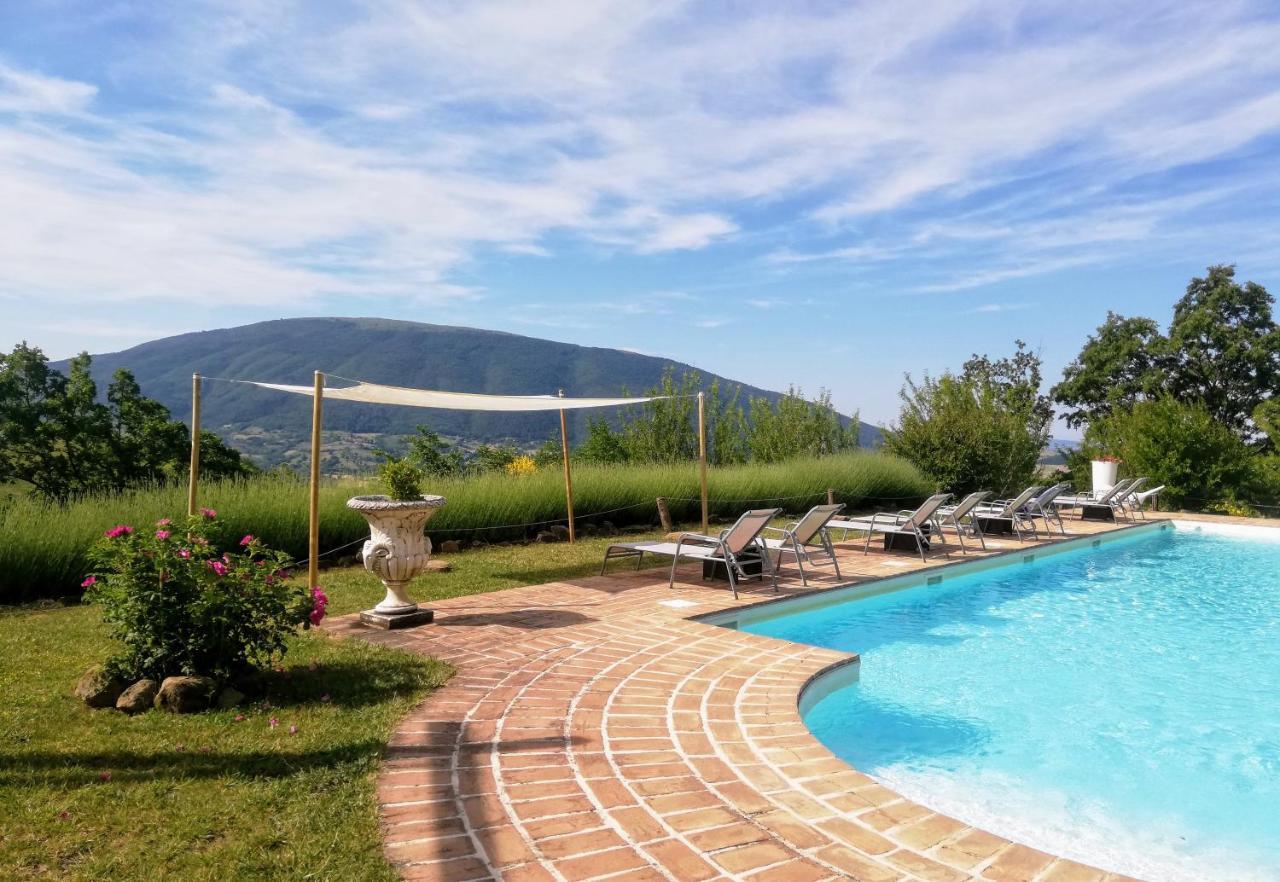 Le Ginestre Guesthouse Assisi Dış mekan fotoğraf