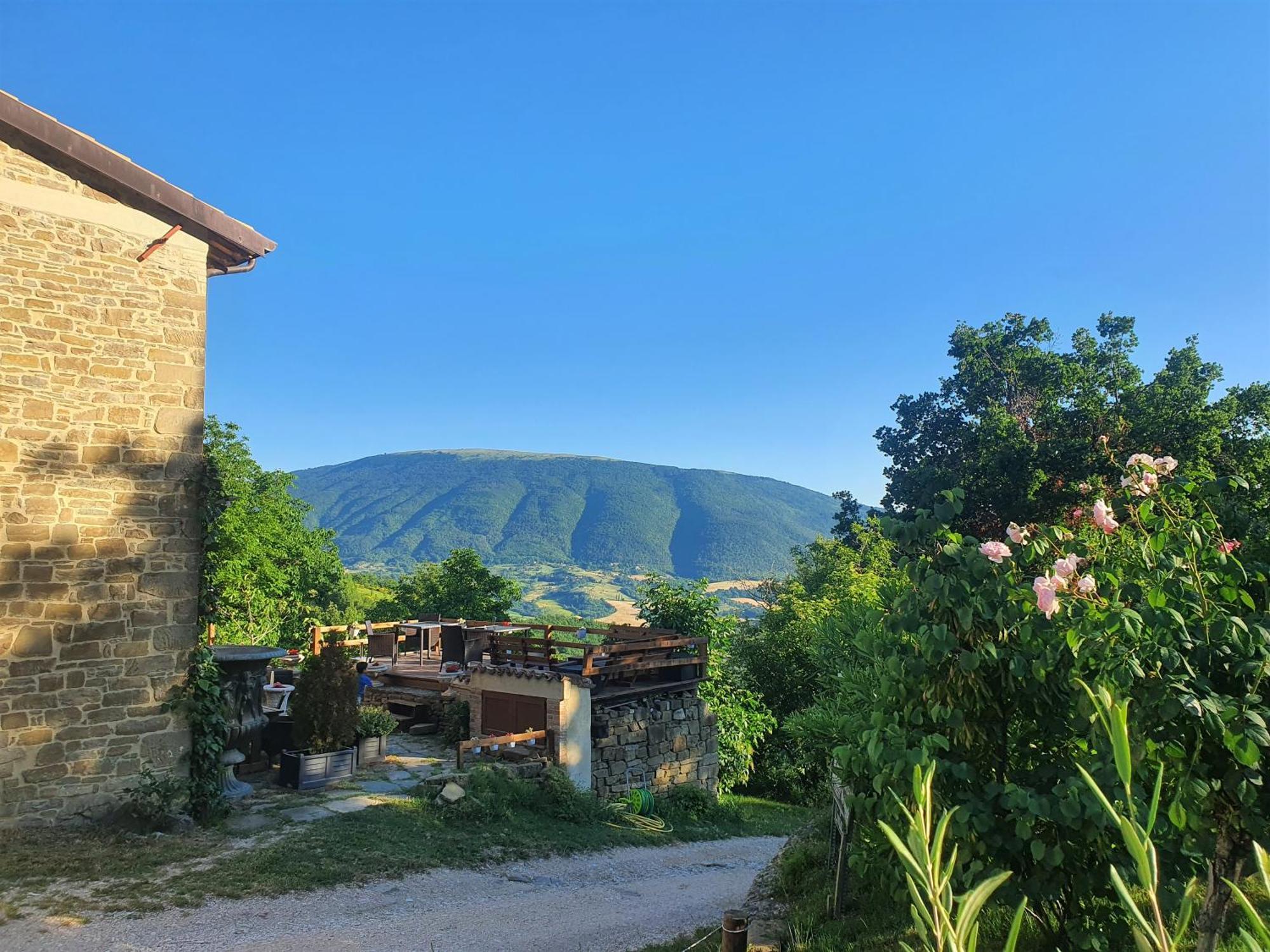Le Ginestre Guesthouse Assisi Dış mekan fotoğraf