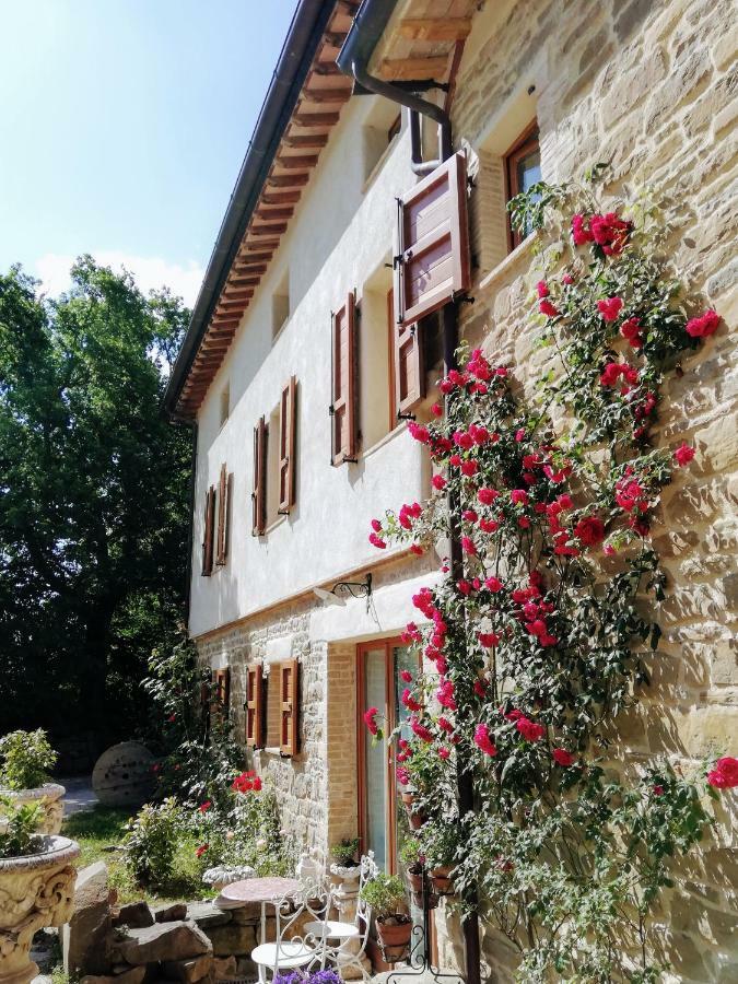 Le Ginestre Guesthouse Assisi Dış mekan fotoğraf