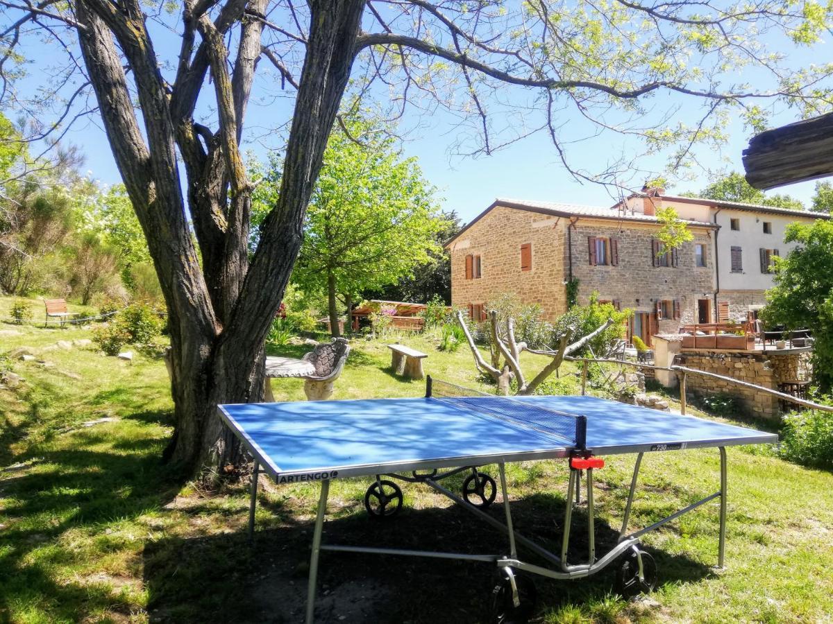 Le Ginestre Guesthouse Assisi Dış mekan fotoğraf